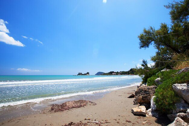 Quiet Zakynthian beach in late spring with empty sand, clear blue sea, and pine trees