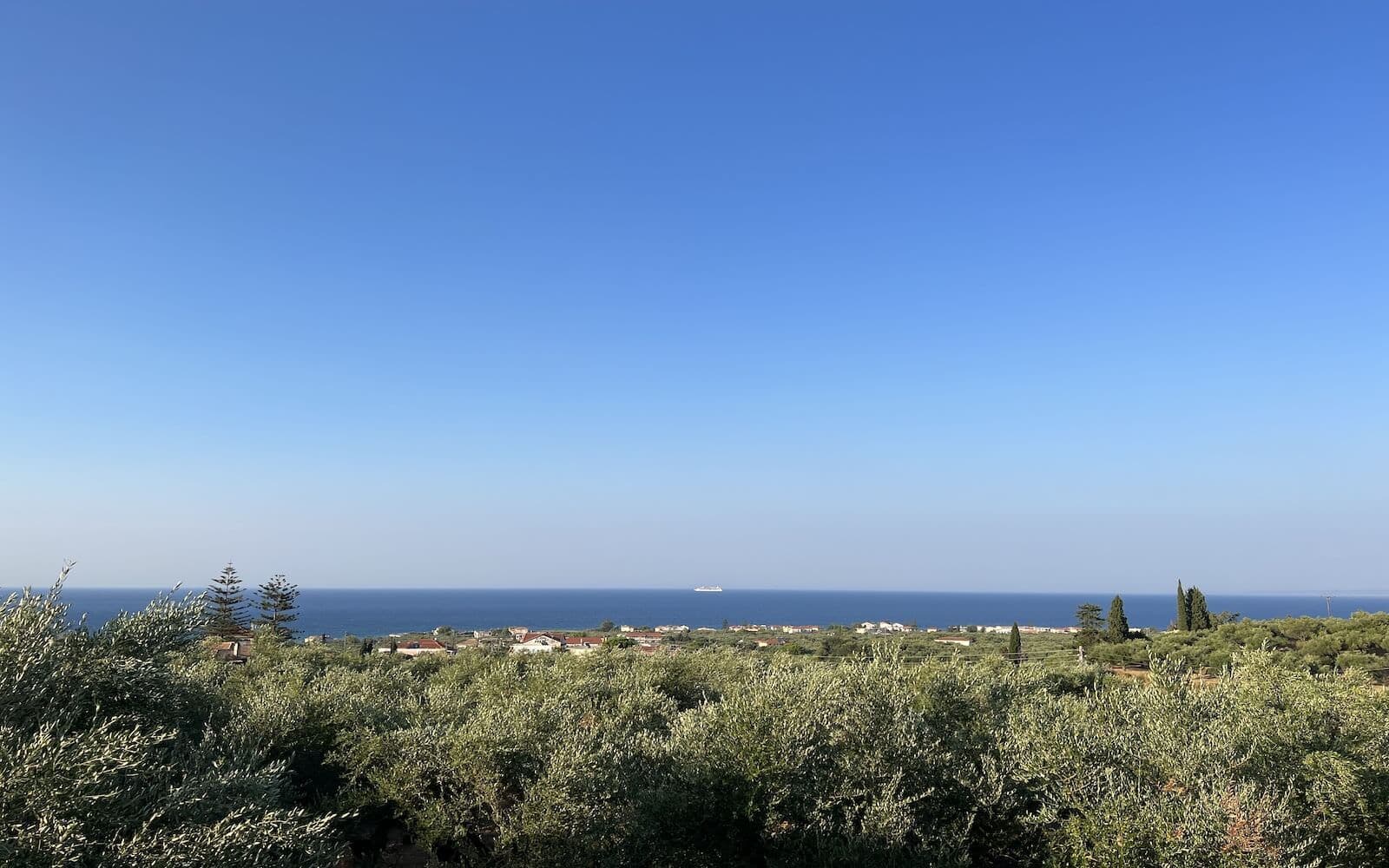 Villa Zoi among olive trees