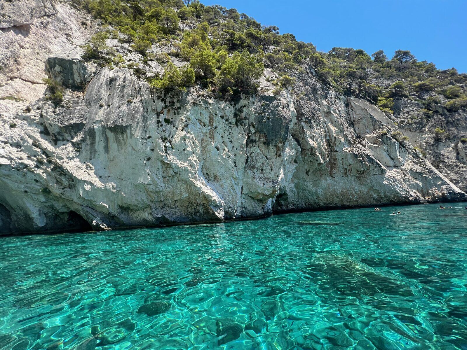 Sheer white cliff with green vegetation above tiny swimmers in the turquoise cove