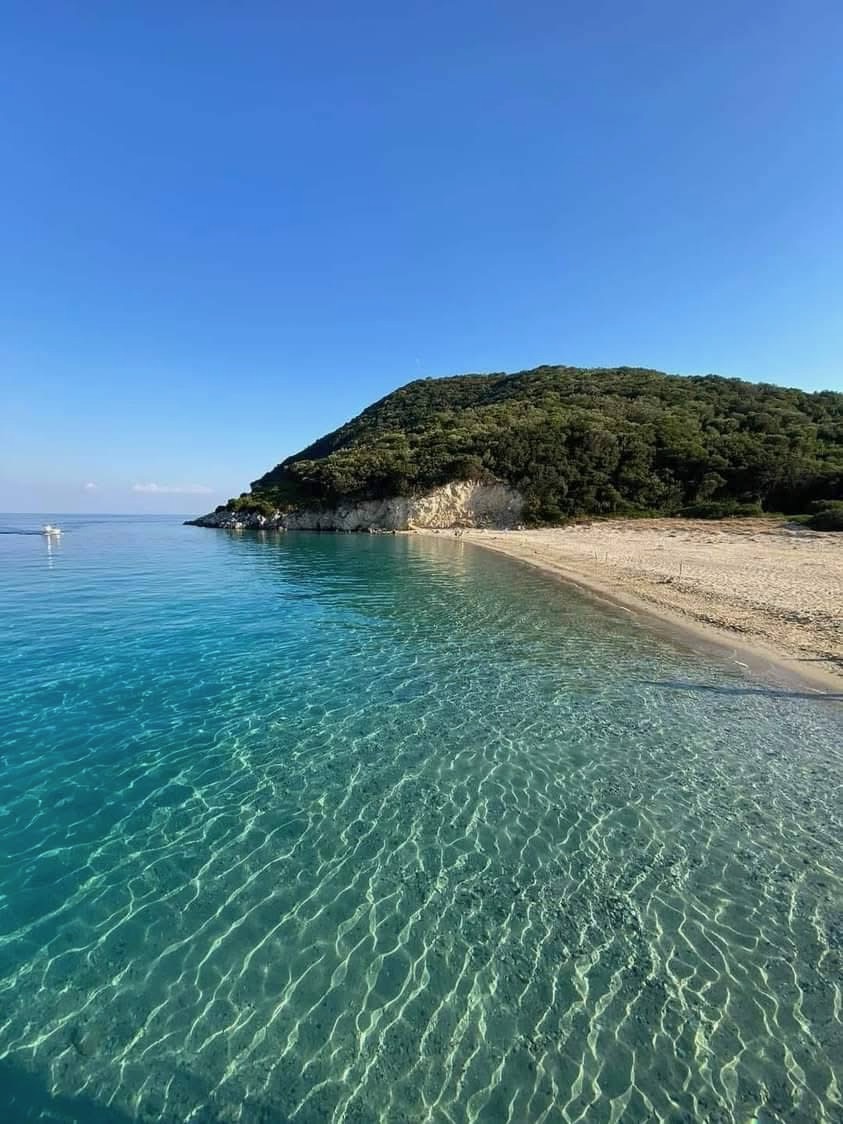 Water-level view of Marathonisi Island beach with lush green hillside