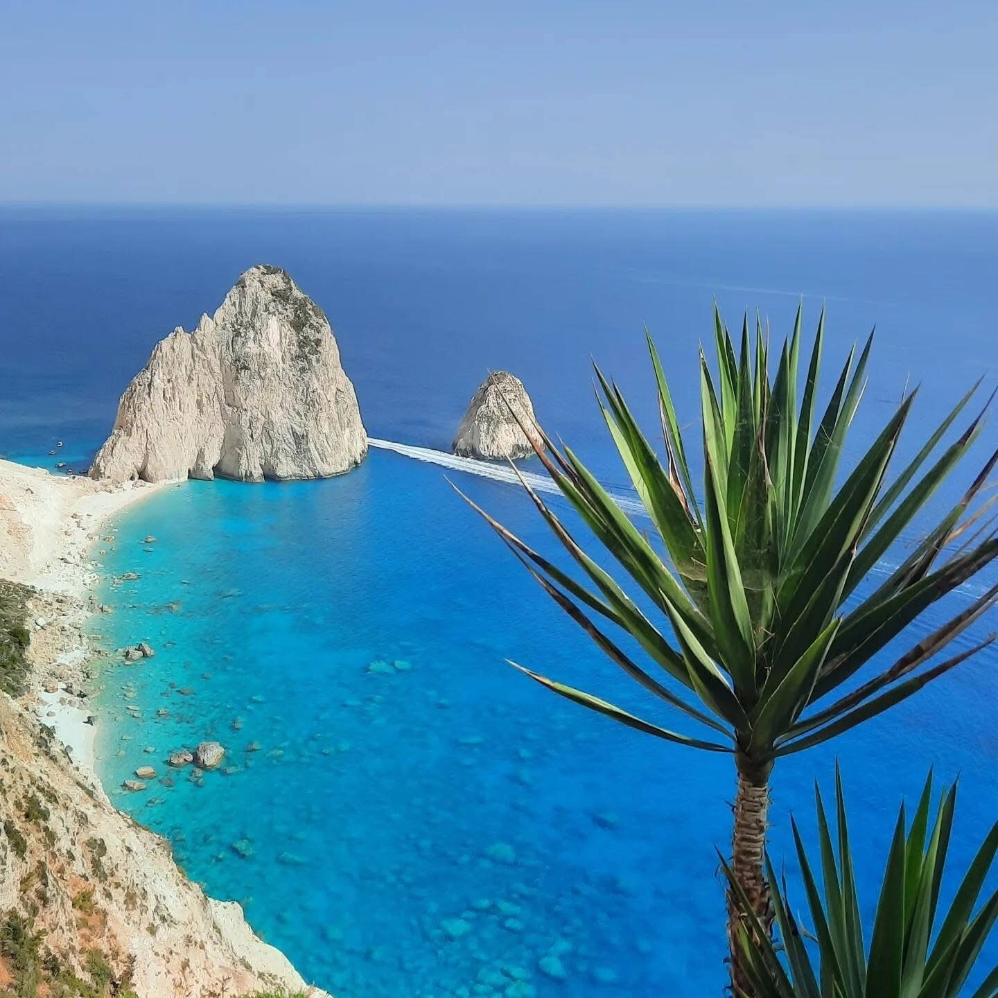 Myzithres rocks viewed through yucca plants from the clifftop
