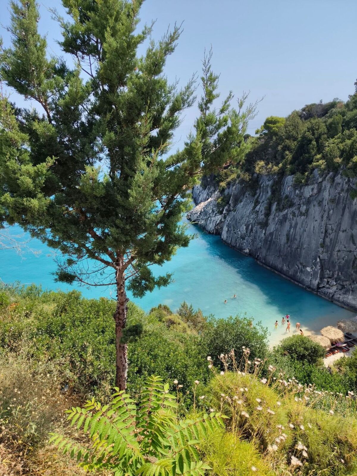 Pine tree framing the turquoise cove of Xigia Beach from above