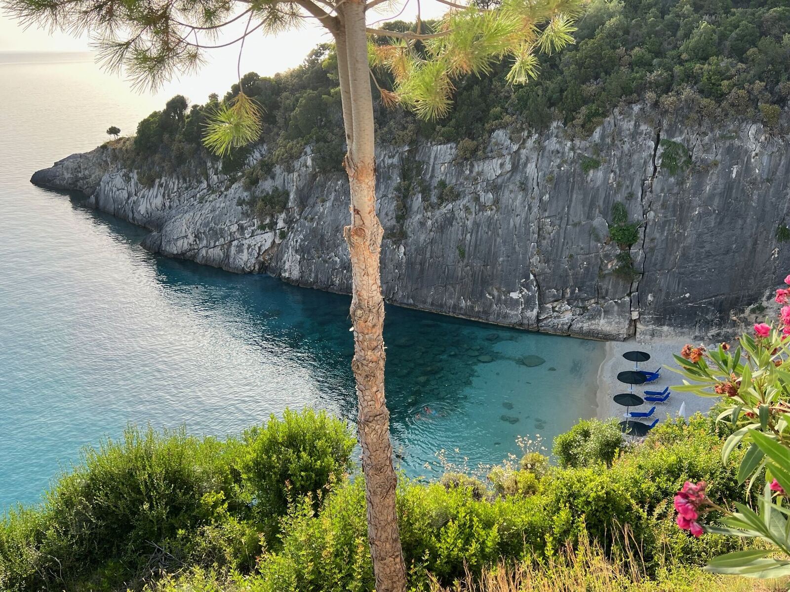 Pine tree and flowering oleander framing the secluded Xigia Beach cove