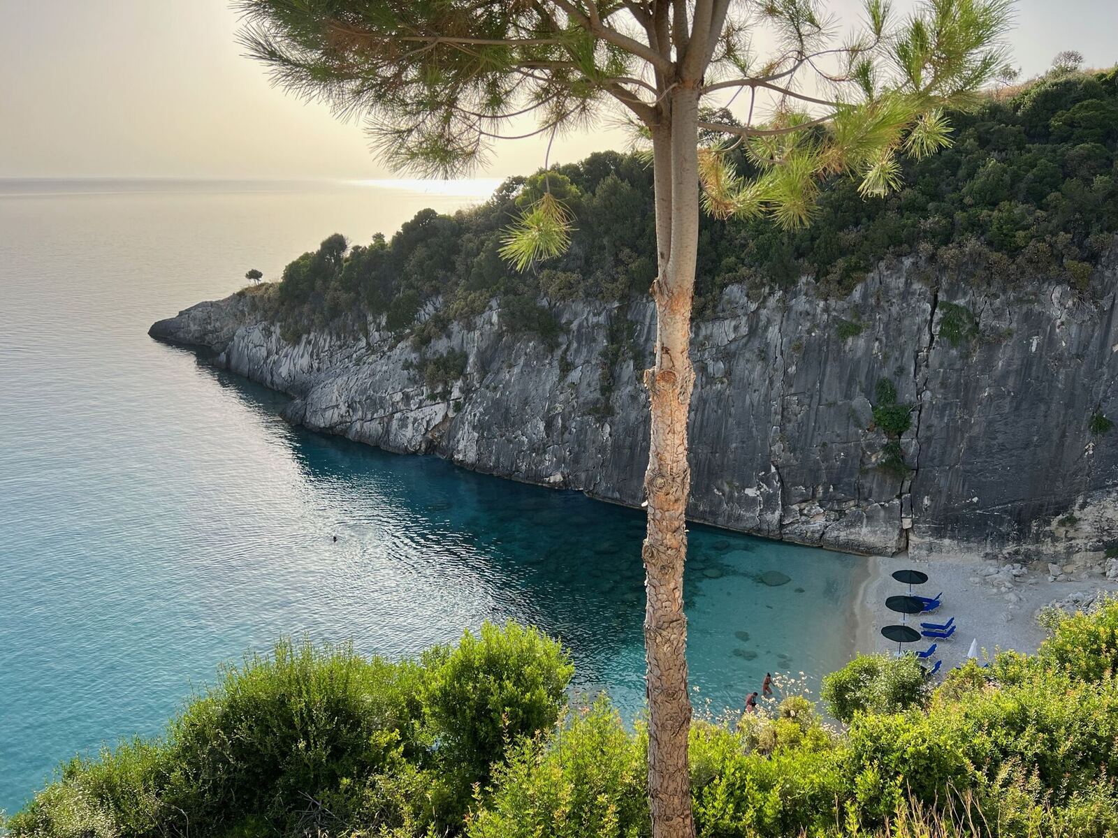 Pine tree trunk framing the sunset view over Xigia Beach and its limestone cliffs